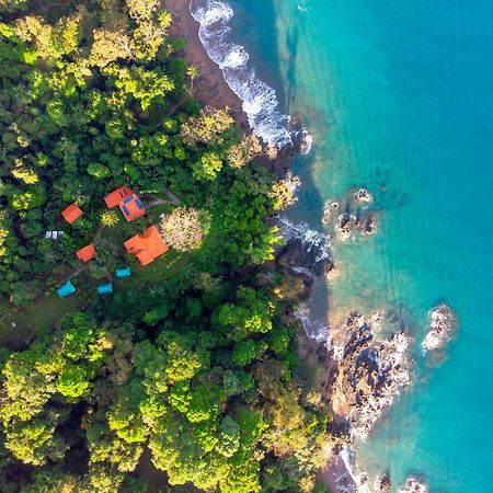 Las Caletas Lodge Drake Bay ภายนอก รูปภาพ