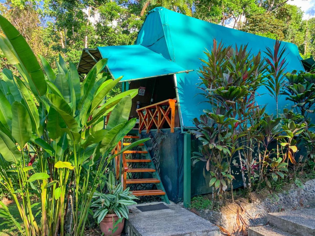 Las Caletas Lodge Drake Bay ภายนอก รูปภาพ
