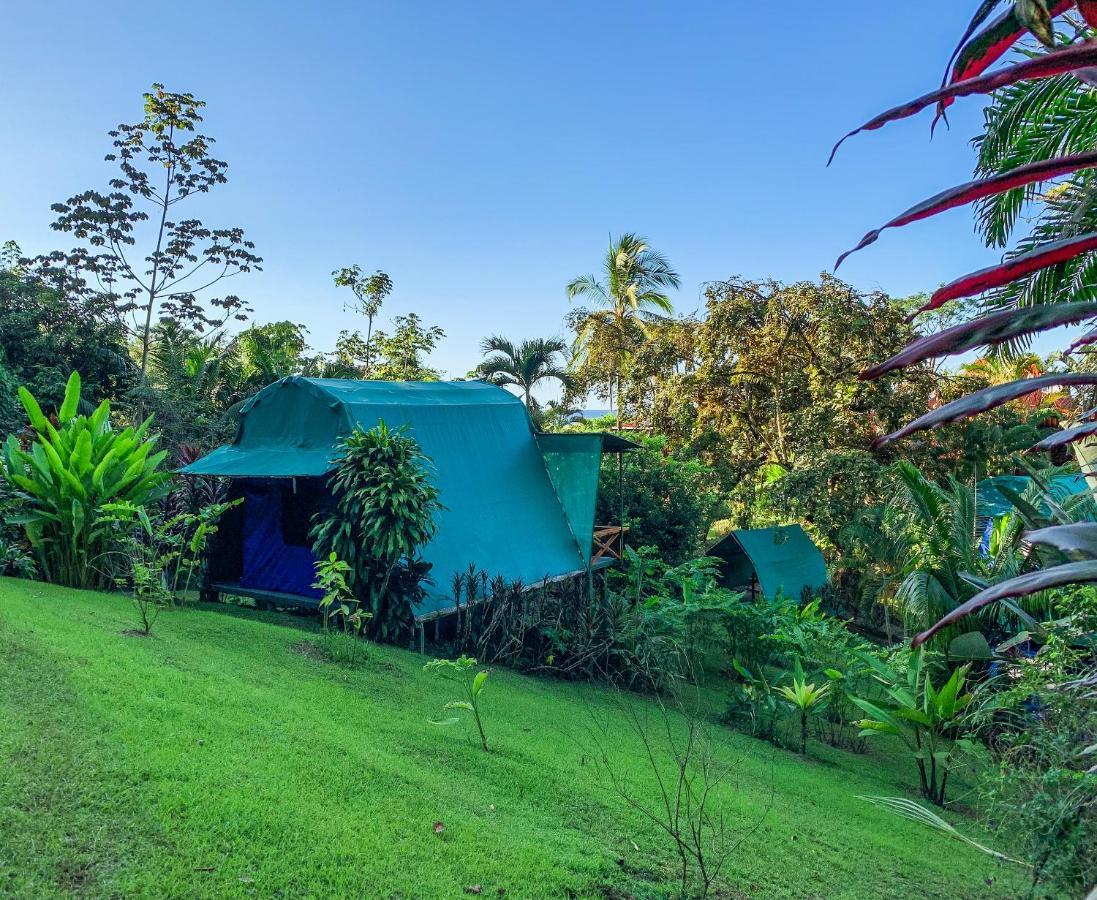 Las Caletas Lodge Drake Bay ภายนอก รูปภาพ