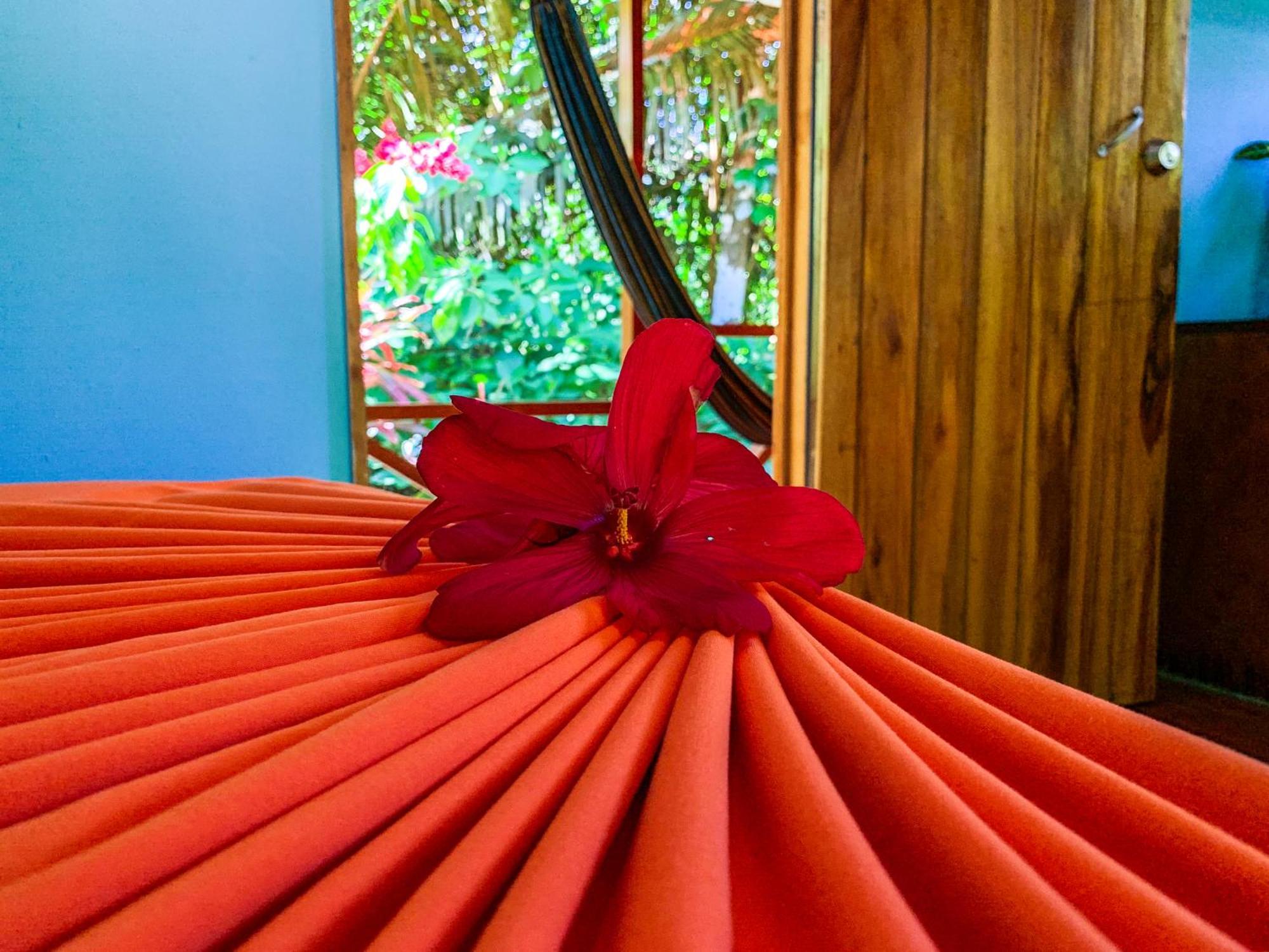 Las Caletas Lodge Drake Bay ห้อง รูปภาพ