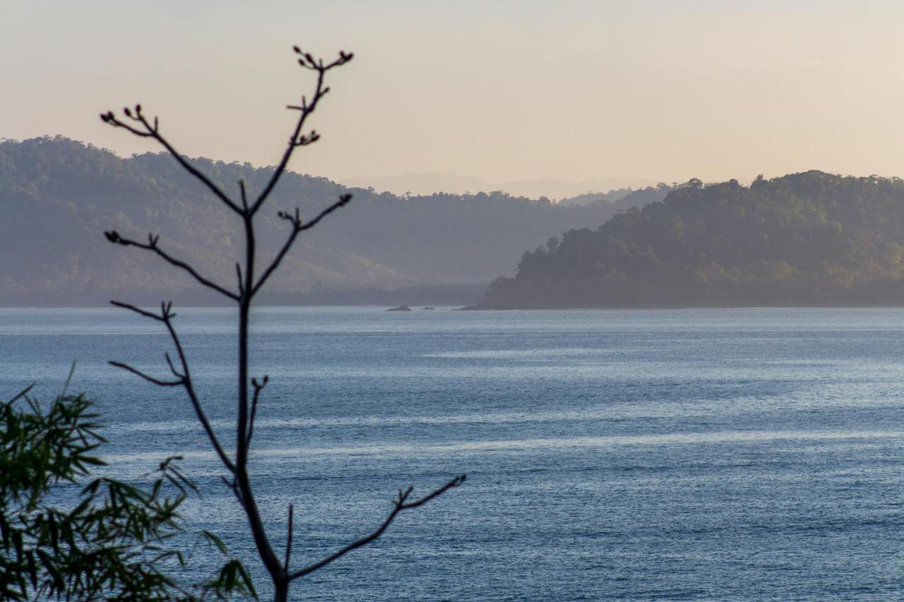 Las Caletas Lodge Drake Bay ภายนอก รูปภาพ